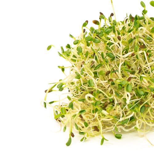 Mumm's Sandwich Booster Sprouting Seeds | 250g Organic & Non-GMO