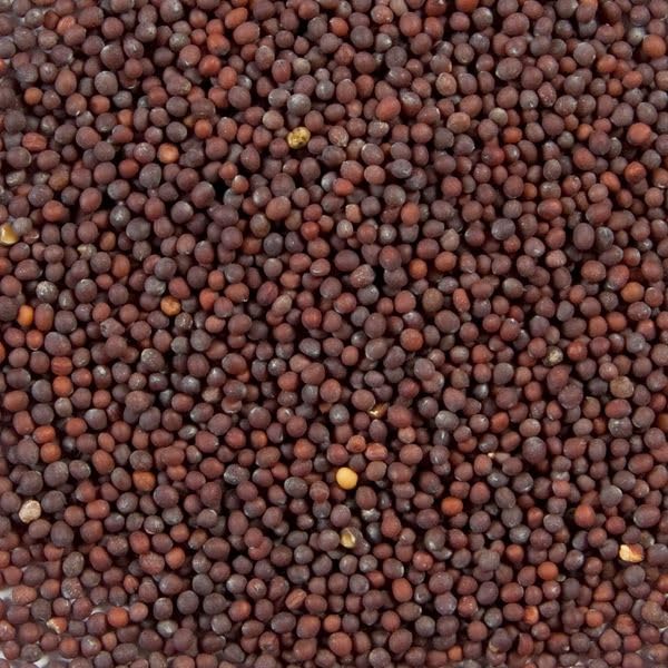 Splendor Garden Organic Brown Mustard Seed - 454 g