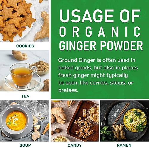 Jiva Organics Organic Ginger Root Powder for VIP Shoppers