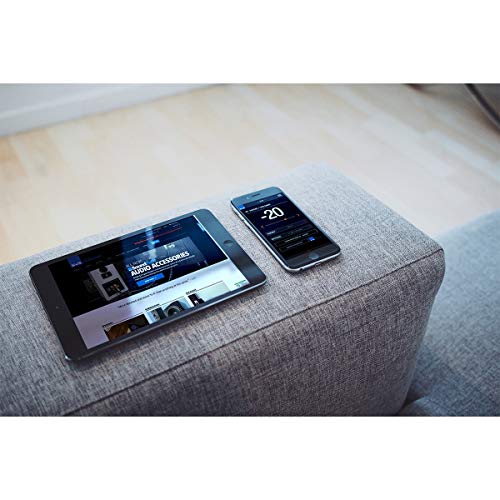 SVS SB-1000 Pro Subwoofer in Black Ash