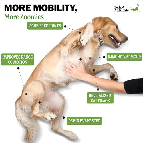 VIP Dog Joint Support Supplement - USA Made 120 Chews