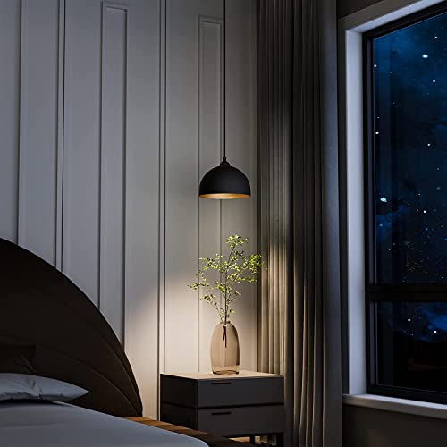 Easric 2 Pack Vintage Black Pendant Light Fixture