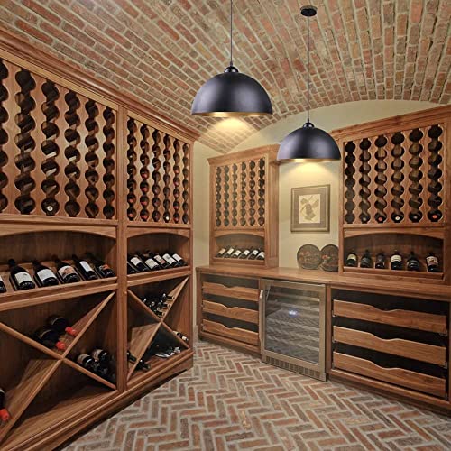 Easric 2 Pack Vintage Black Pendant Light Fixture