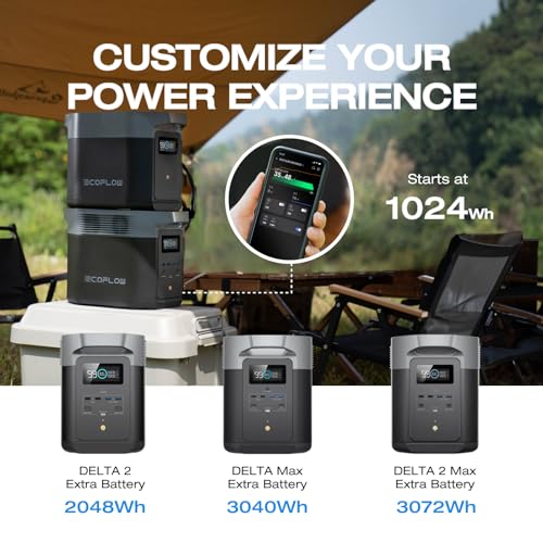 EF ECOFLOW DELTA 2 Portable Power Station, 1024Wh