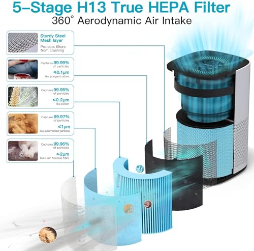 AIRTOK Large Room Air Purifier for Allergies & Pets