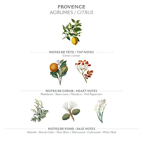 Panier des Sens Provence Hand Cream - 97% Natural Ingredients