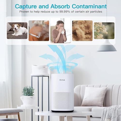 AIRTOK Large Room Air Purifier for Allergies & Pets