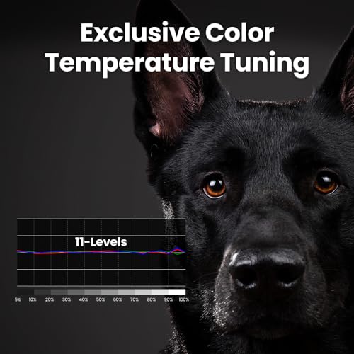 BenQ 4K Smart Home Theater Projector | VIP Shopping