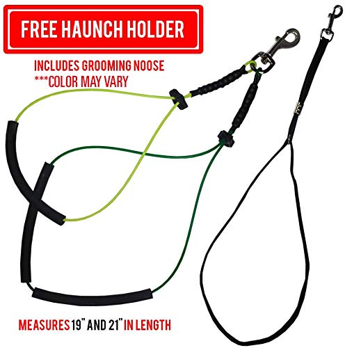 VIP Grooming Arm Set with Loop & Holders