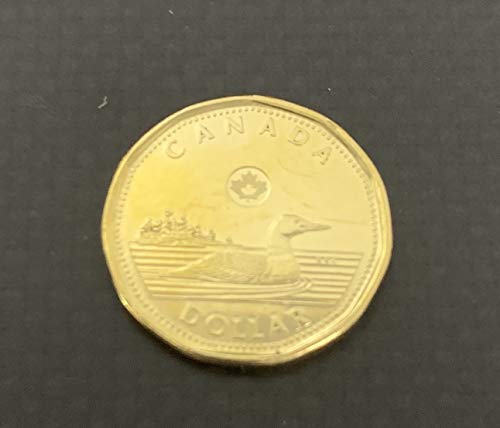 Canadian Dollar Coin Magic Trick: Loonie Coin Pair