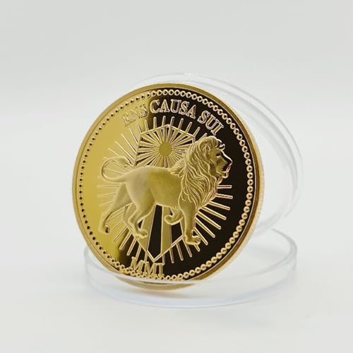 Gold Coin VIP Collectible Metal Coin for Collecting