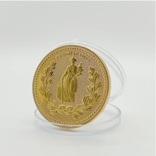 Gold Coin VIP Collectible Metal Coin for Collecting