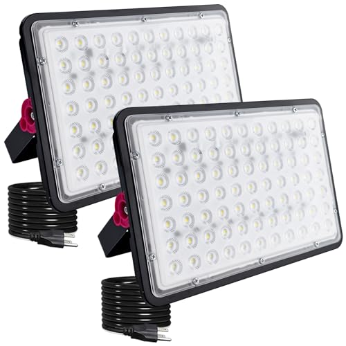 LED Outdoor Floodlights 2 Pack - VIP Shopping