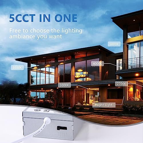 VIP 6 Inch LED Pot Lights with Night Light