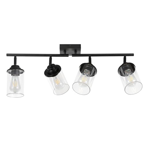 SEEBLEN 4-Light Kitchen Ceiling Track Light with Glass Shade