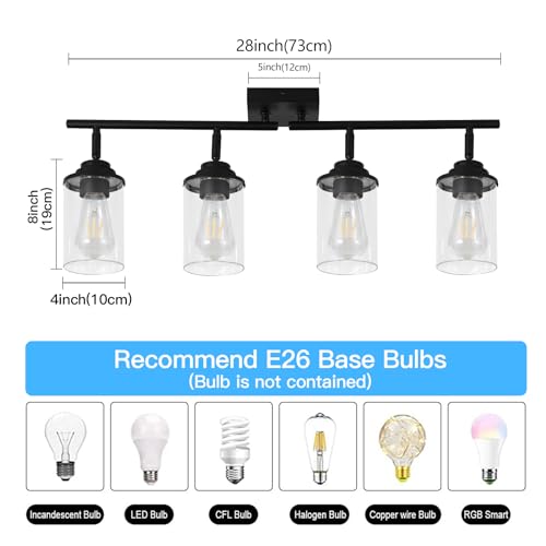 SEEBLEN 4-Light Kitchen Ceiling Track Light with Glass Shade