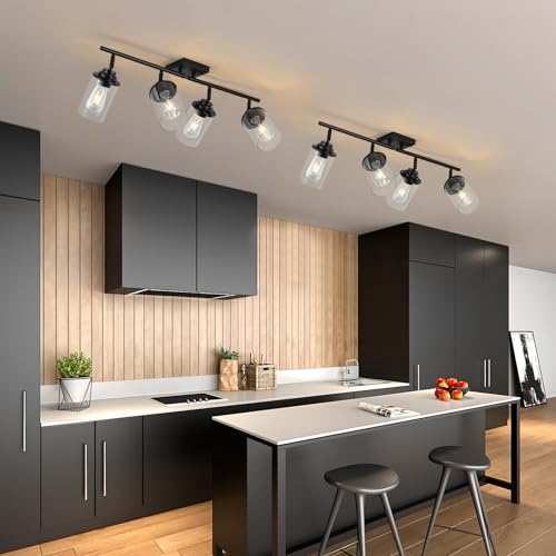 SEEBLEN 4-Light Kitchen Ceiling Track Light with Glass Shade