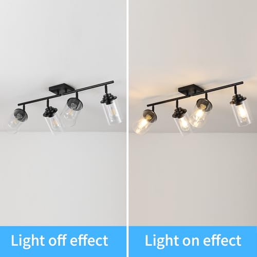 SEEBLEN 4-Light Kitchen Ceiling Track Light with Glass Shade