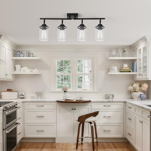 SEEBLEN 4-Light Kitchen Ceiling Track Light with Glass Shade