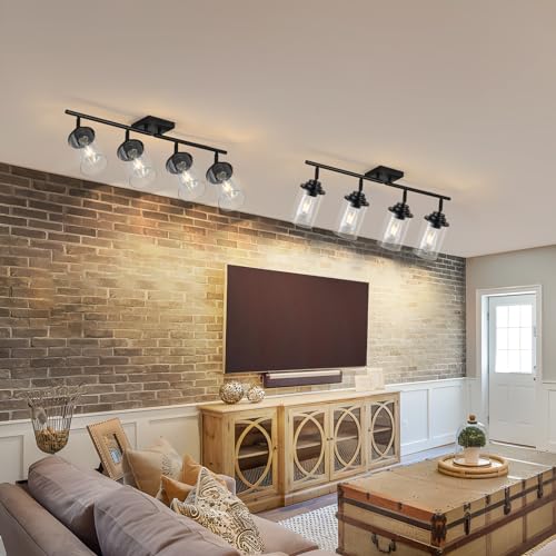 SEEBLEN 4-Light Kitchen Ceiling Track Light with Glass Shade