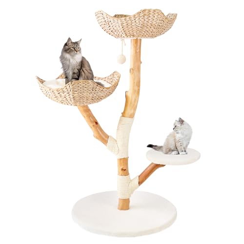 Rio & Roxy Modern Luxury Cat Tree Tower