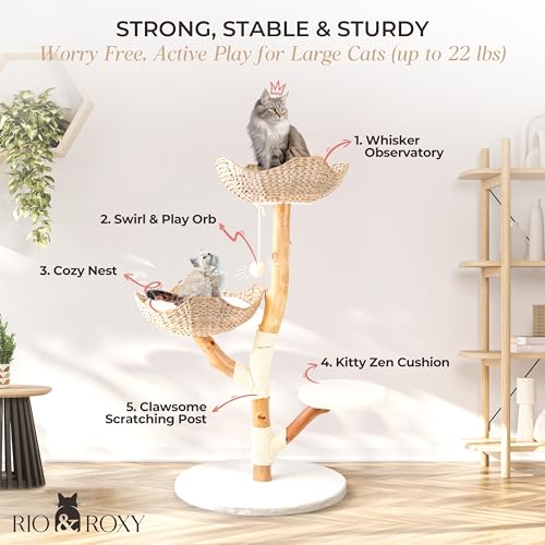 Rio & Roxy Modern Luxury Cat Tree Tower