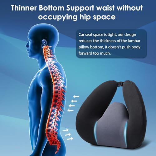 Lumbar Support Pillow for Office & Car