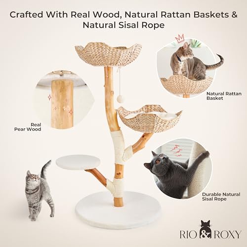 Rio & Roxy Modern Luxury Cat Tree Tower