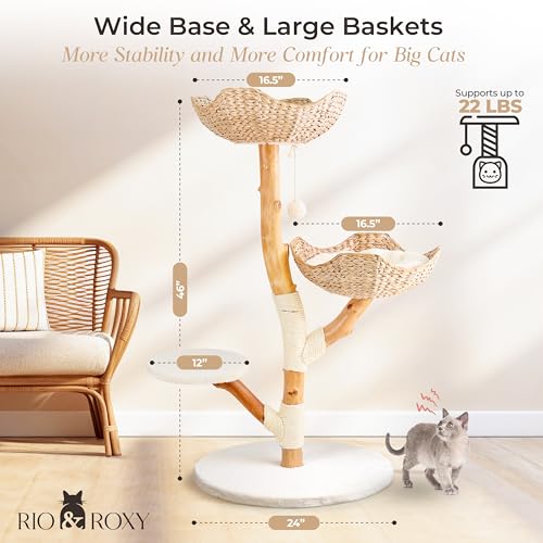 Rio & Roxy Modern Luxury Cat Tree Tower