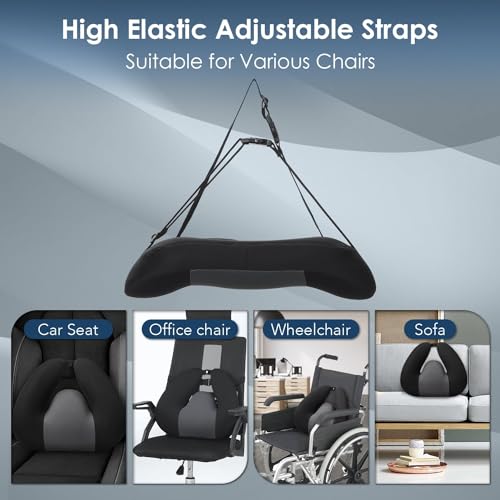 Lumbar Support Pillow for Office & Car
