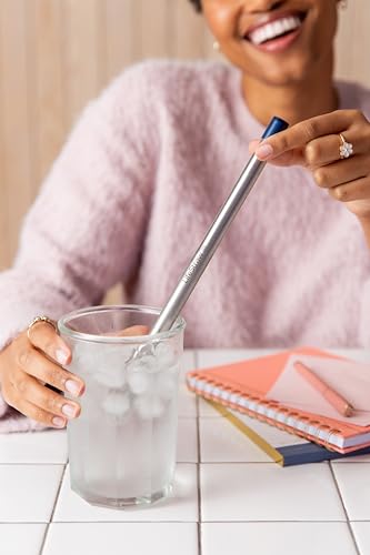 LifeStraw Sip Stainless Steel Water Filter Straw, Carry Case