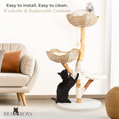 Rio & Roxy Modern Luxury Cat Tree Tower