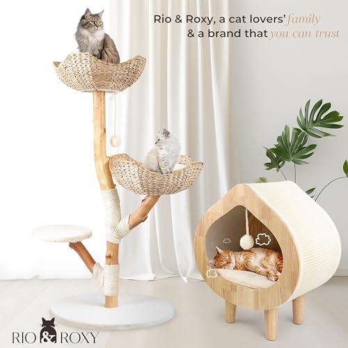 Rio & Roxy Modern Luxury Cat Tree Tower