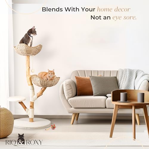 Rio & Roxy Modern Luxury Cat Tree Tower