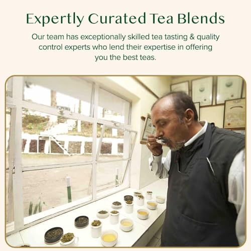 Vahdam Green Tea Variety Pack (6 Flavors, 60 Bags)