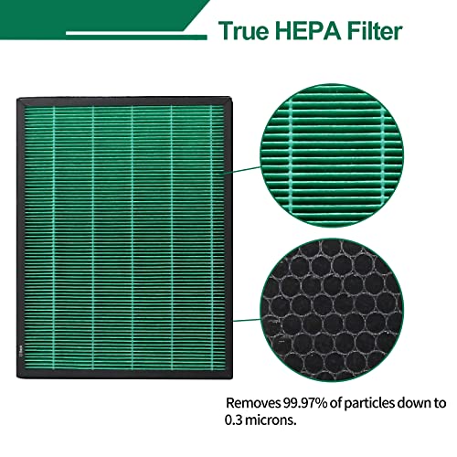 Coway Airmega 400 HEPA & Carbon Filter Set