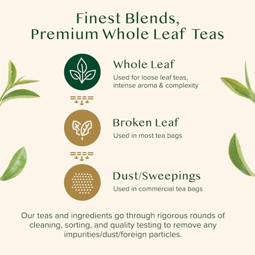 VAHDAM Masala Chai Tea Bags - Exotic Spices