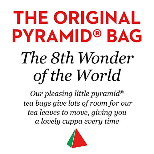PG Tips Black Tea Pyramid Bags, 240 Bags x 2