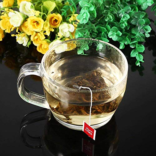 100 Disposable Tea Infuser Bags for Loose Leaf