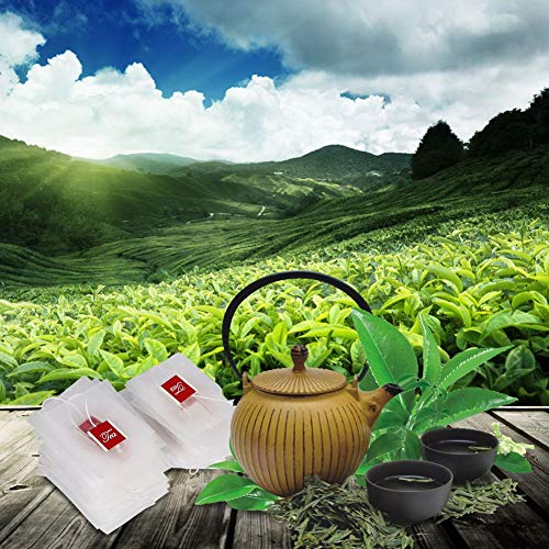 100 Disposable Tea Infuser Bags for Loose Leaf