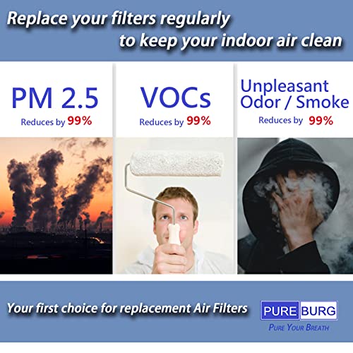 VIP Compatible 2-in-1 Filter Set for Coway Airmega
