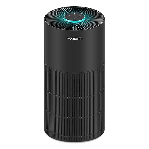 VIP Bedroom Air Purifier, Ultra Quiet, Black