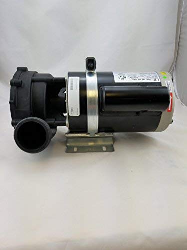 Sundance Spas Jacuzzi Replacement Jet Pump 6500-352