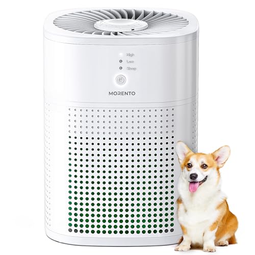 MORENTO True HEPA Air Purifier for Bedroom VIP
