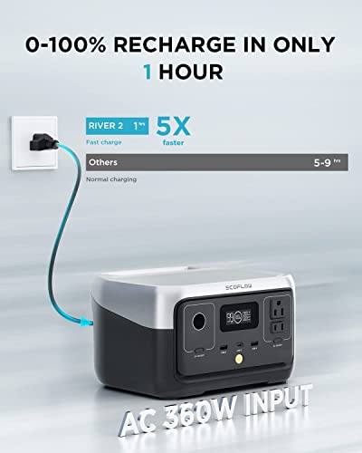 EF ECOFLOW 256Wh Portable Power Station - VIP Shopping