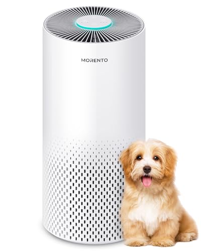 MORENTO H13 HEPA Air Purifiers for Large Rooms
