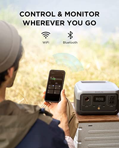 EF ECOFLOW 256Wh Portable Power Station - VIP Shopping
