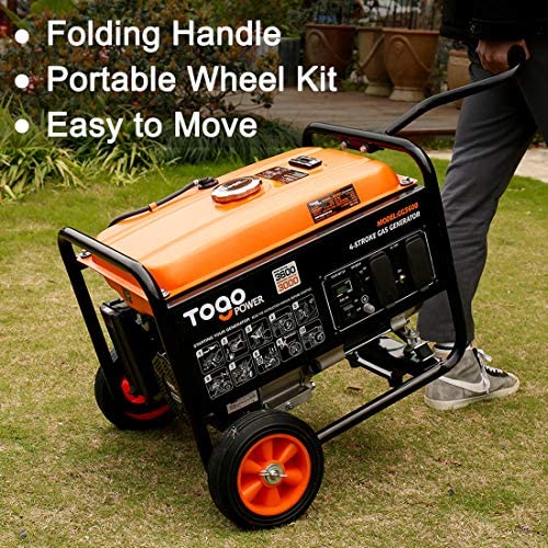 TogoPower Portable Generator: 3600 Peak Watts for VIPs