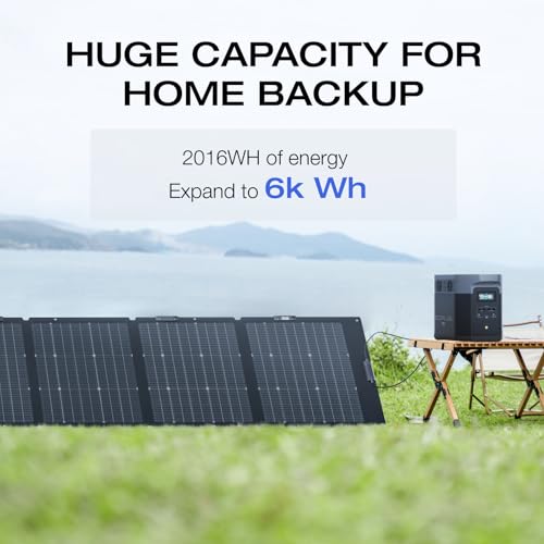 EF ECOFLOW Delta Max Solar Generator Bundle