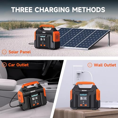 300W Lithium Battery Power Station for VIP Shopping